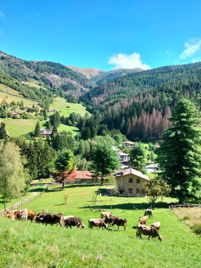 Casa Vacanza Pieve Pisogne Eksteriør bilde
